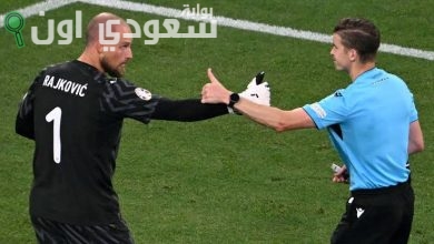 رايكوفيتش وبيرجوين