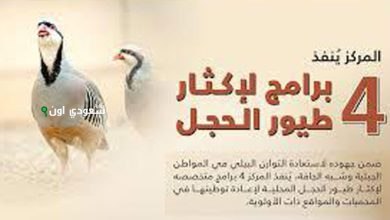 4 برامج جديدة لإكثار طيور الحجل