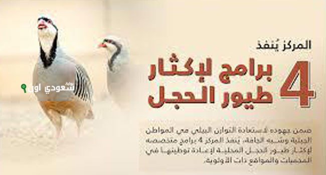 4 برامج جديدة لإكثار