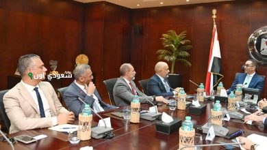 وزير الاستثمار يلتقي وفد اتصالات مصر