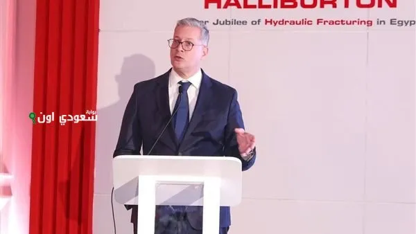 وزير البترول والثروة المعدنية