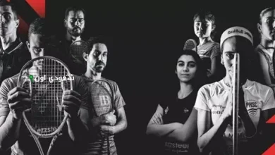 بطولة بالم هيلز للاسكواش