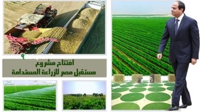 مدير مستقبل مصر يعرض إنجازات وتحديات قطاع الزراعة بالأرقام في 2025