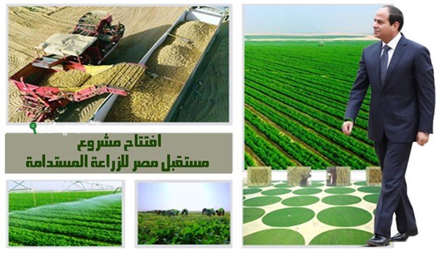 مدير مستقبل مصر يعرض