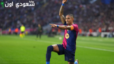 رافينيا