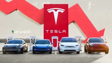 مبيعات تسلا