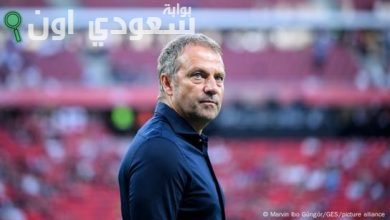 هانزي فليك