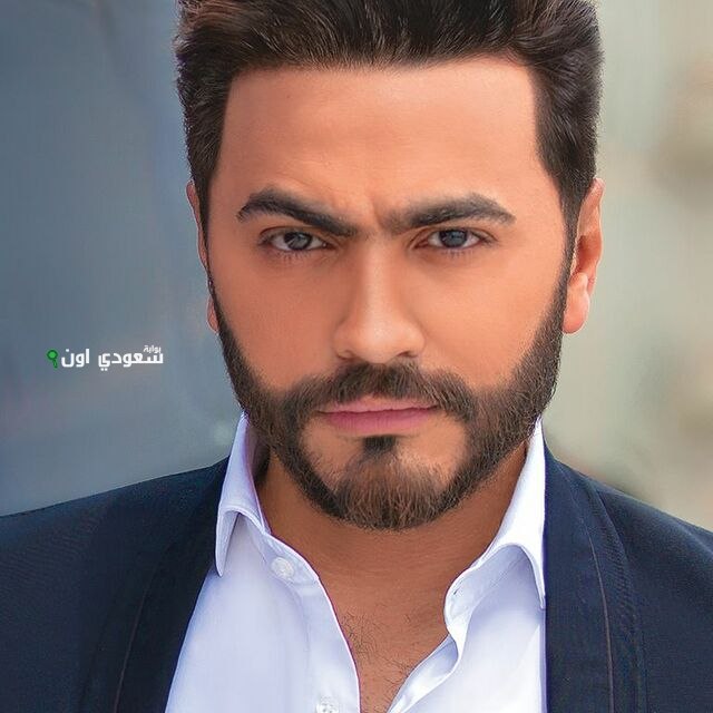 تامر حسنى