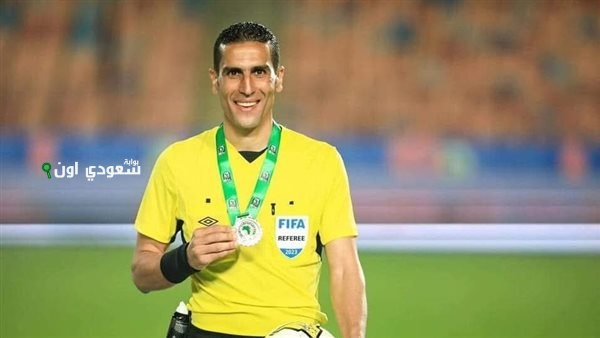 محمود ناجي