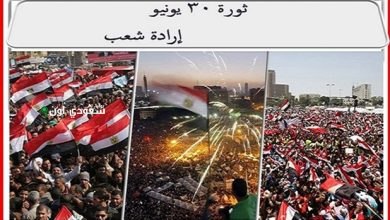 ثورة 30 يونيو