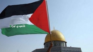 القضية الفلسطينية