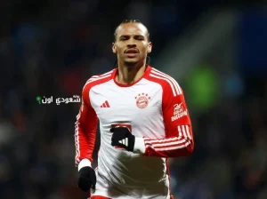 ليروي ساني