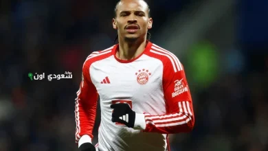 ليروي ساني