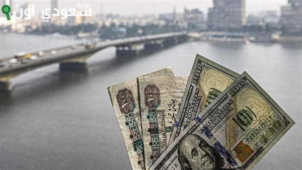 الدولار مستقر قدام الجنيه