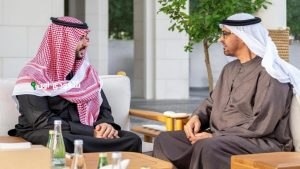 وزير الدفاع يجتمع مع رئيس دولة الإمارات العربية