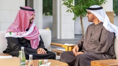 وزير الدفاع يجتمع مع رئيس دولة الإمارات العربية