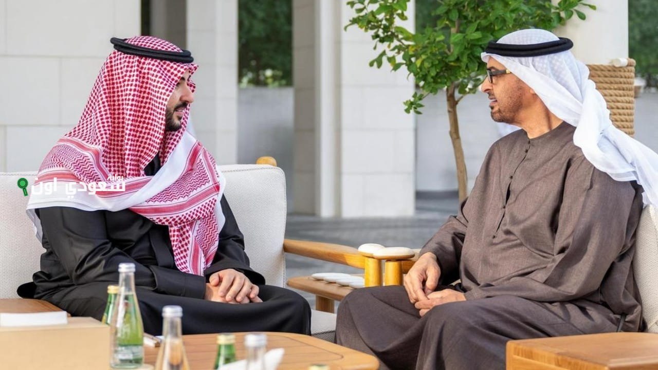 وزير الدفاع يجتمع مع رئيس دولة الإمارات العربية