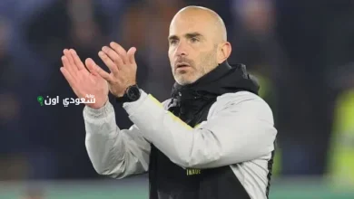 إنزو ماريسكا
