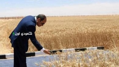 تصريحات الرئيس السيسي المهمة خلال افتتاح موسم حصاد القمح