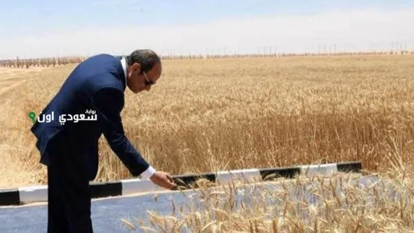 تصريحات الرئيس السيسي المهمة خلال افتتاح موسم حصاد القمح