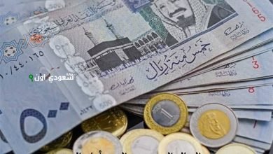 الريال السعودي مقابل الجنيه المصري