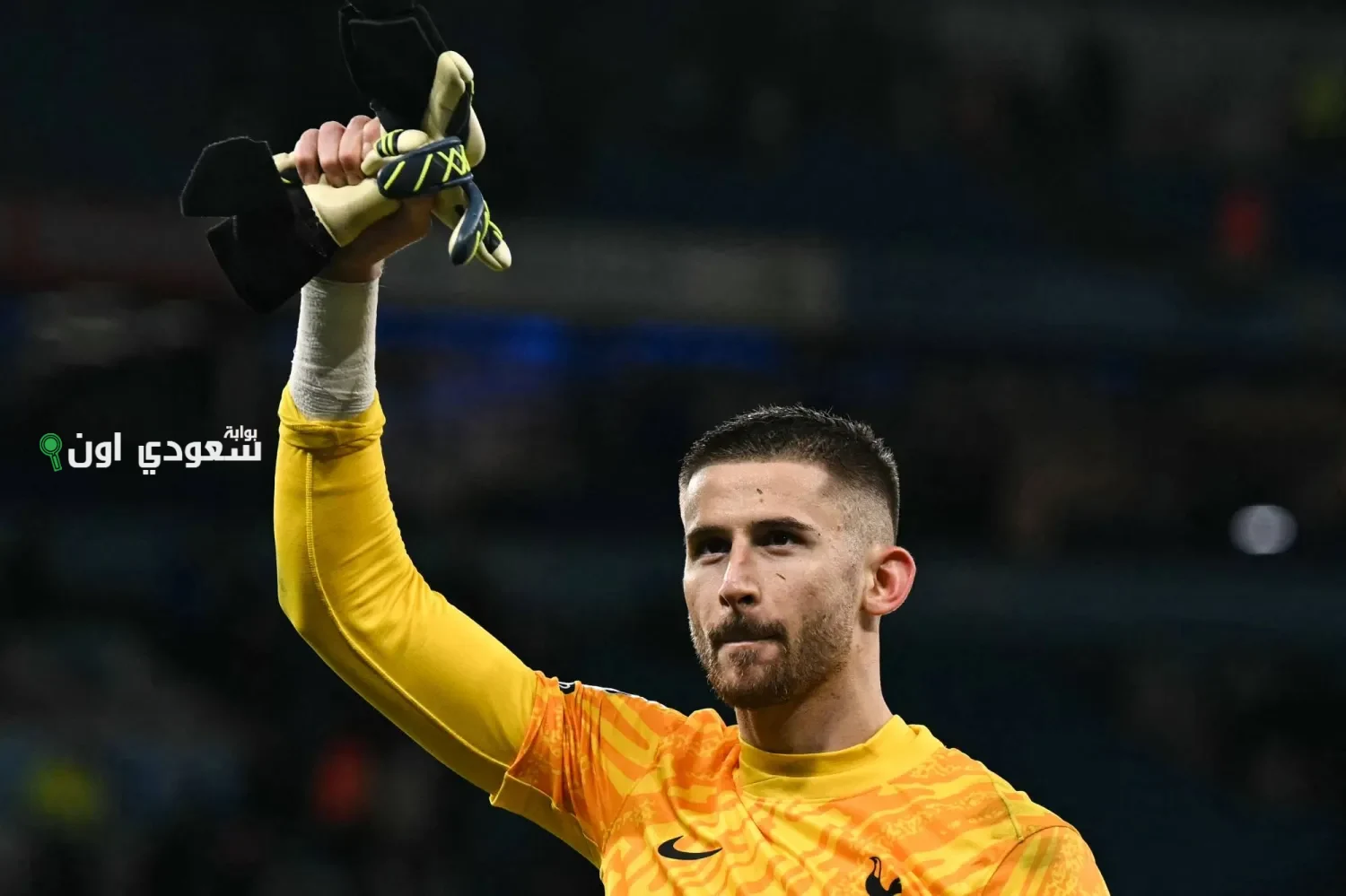 جوليلمو فيكاريو