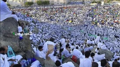 زيادة كبيرة في أعداد الحجاج