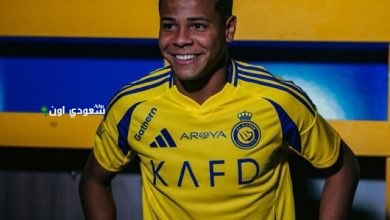 بوتافوجو البرازيلي يسعى للتعاقد مع محترف في دوري روشن خلال الانتقالات الصيفية القادمة