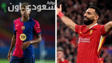 صلاح ولامين