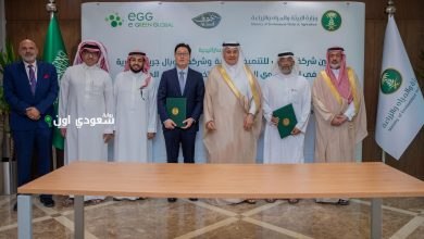 تعاون سعودي كوري لتطوير صناعة تقاوي البطاطس محلياً