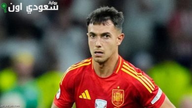 زوبيمندي