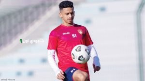 رمزي صولان