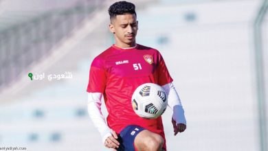 رمزي صولان
