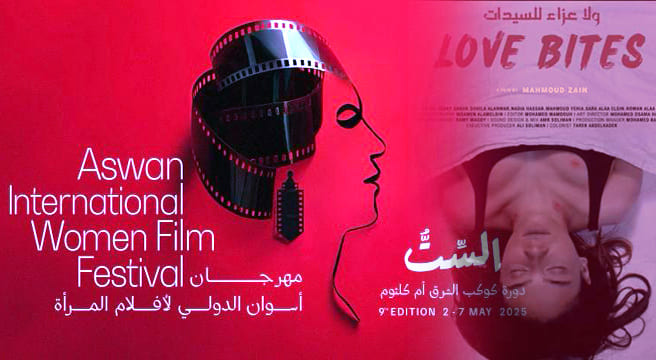 فيلم ولا عزاء للسيدات