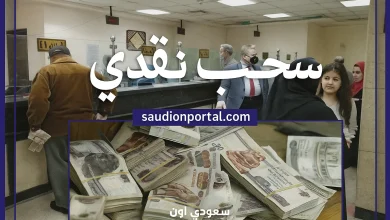 الاستعلام عن المعاشات