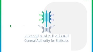 الإحصاء يكشف عن حصة الاقتصاد الرقمي التي بلغت 15 6% من الناتج المحلي