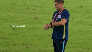 دراغان ستويكوفيتش