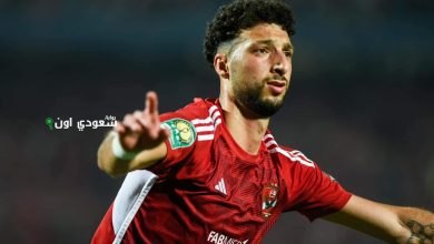 وسام أبو علي