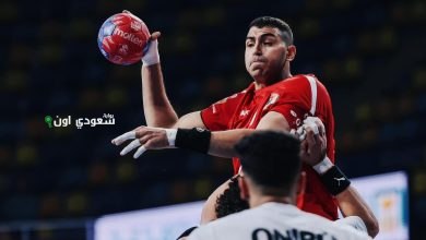 عبد الرحمن فيصل