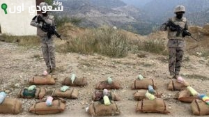 حرس الحدود والأمن العام يحبطوا محاولات تهريب قات وحشيش بجازان والباحه