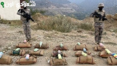 حرس الحدود والأمن العام يحبطوا محاولات تهريب قات وحشيش بجازان والباحه