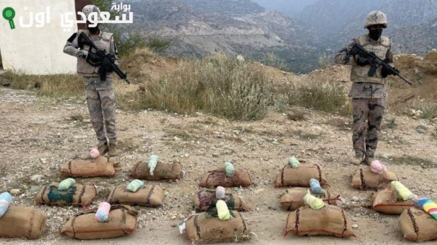حرس الحدود والأمن العام