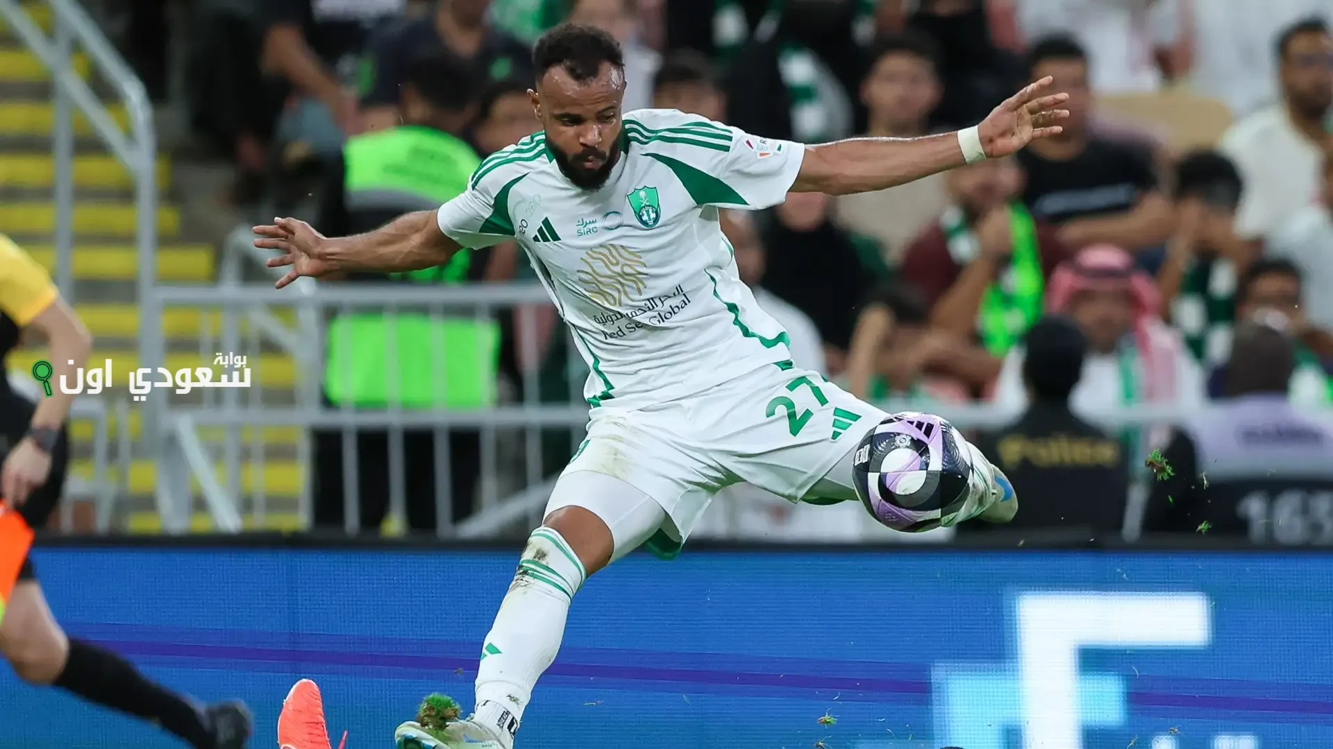 علي مجرشي
