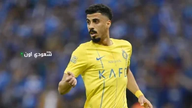 علي لاجامي