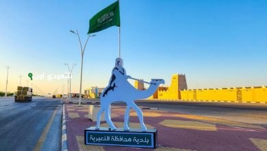 بلدية النعيرية