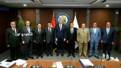 ثروة للبترول تعتمد ذراعها الفنية لاستكشاف فرص الاستثمار الجديدة السبت 24 مايو 2025