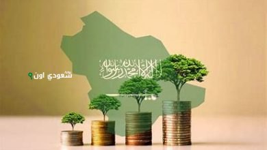 السعودية تتصدر العالم في نمو الشركات الناشئة