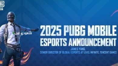 PUBG Mobile 2025