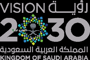 المملكة العربية السعودية أهداف القطاع غير الربحي وفق رؤية 2030