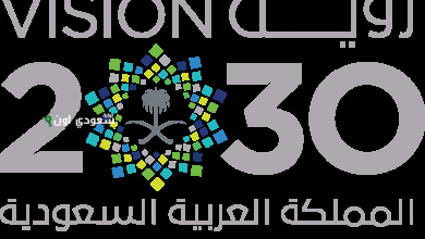 المملكة العربية السعودية أهداف القطاع غير الربحي وفق رؤية 2030